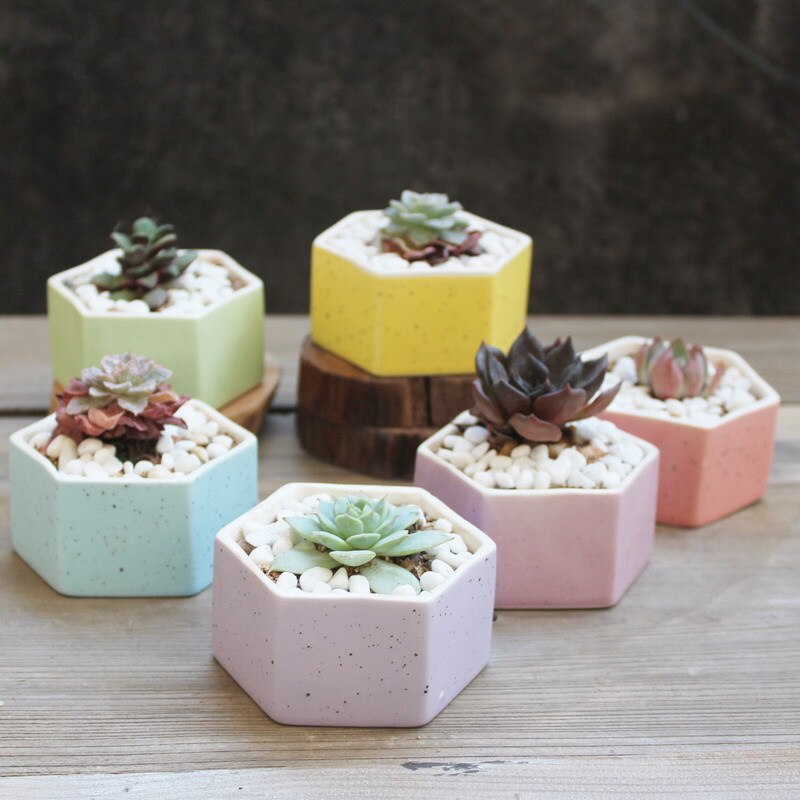 Maceta de cerámica pequeña y fresca con flor carnosa de JQWORV, macarrones arcoíris, macetero de dedo, plantación verde, adornos de escritorio, maceta