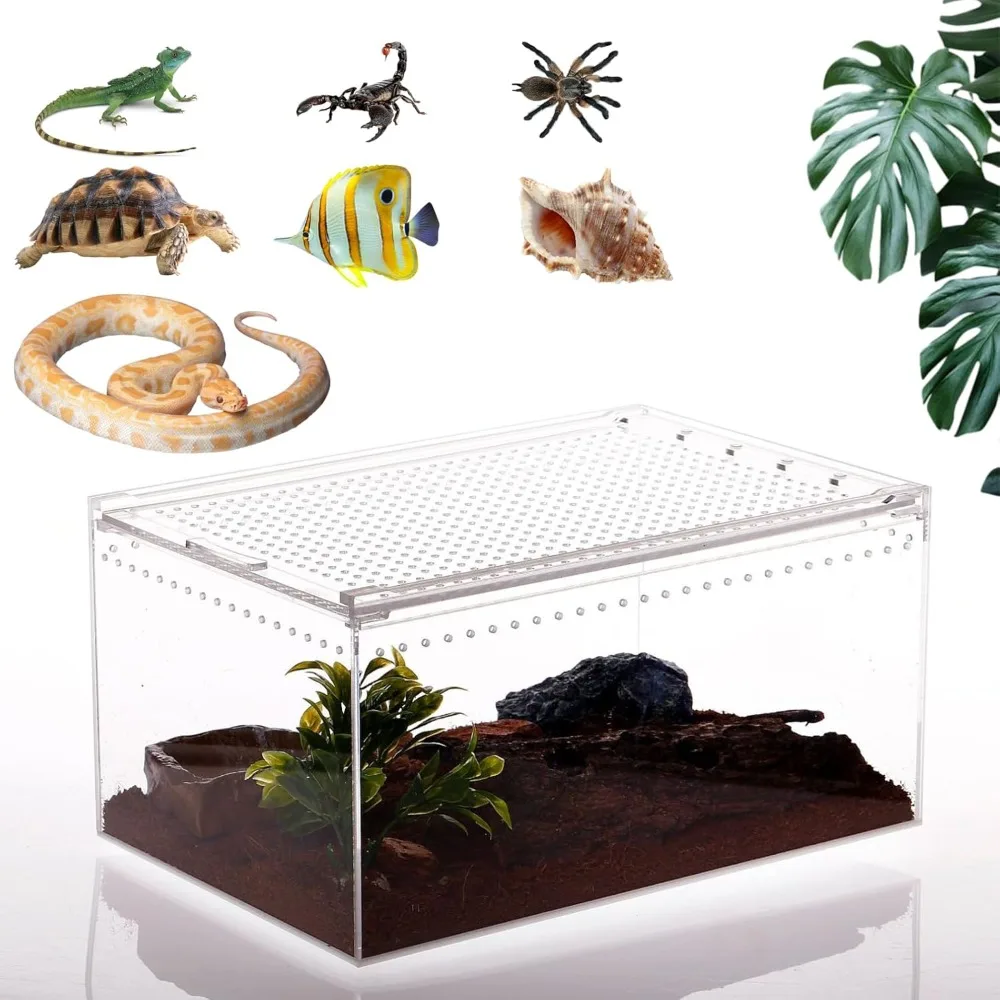 Tarantula Box Magnetic Reptile Terrarium Tarantula Enclosure,Rep... – Grandado