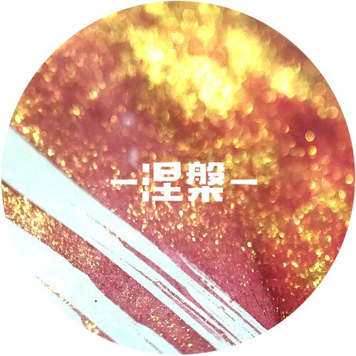 30ml Handmade Gold Powder Ink Color Ink Dip Pen Felt Pens Glass Pen Rose Gold Color Glitter Pastel Ink Gold Silver Powder: 10