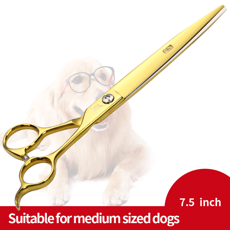 Fenice 7/7.5 inch kleurrijke hondenschaar in dierenverzorgingsscharen, knipscharen, gebogen scharen, makas tijeras: 7.5 gouden slijpsels