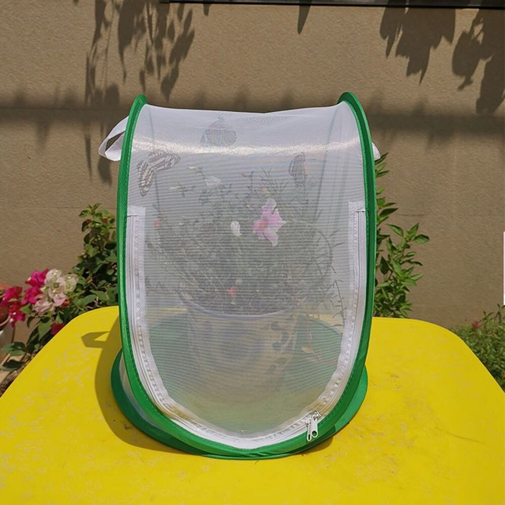 Filet d&#39;observation respirant pour animaux de compagnie, Cage à insectes, incubateur de semis, fermeture à glissière, enceinte pliable