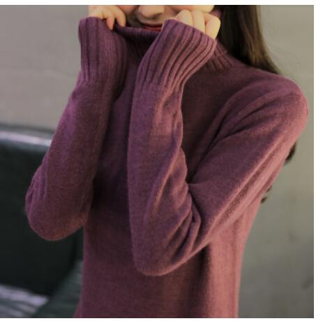 Autumn Winter Women Turtleneck Sweater Pullover Ladies Shirt Slim Casual Tops Warm Clothing Female Knitted Sweater