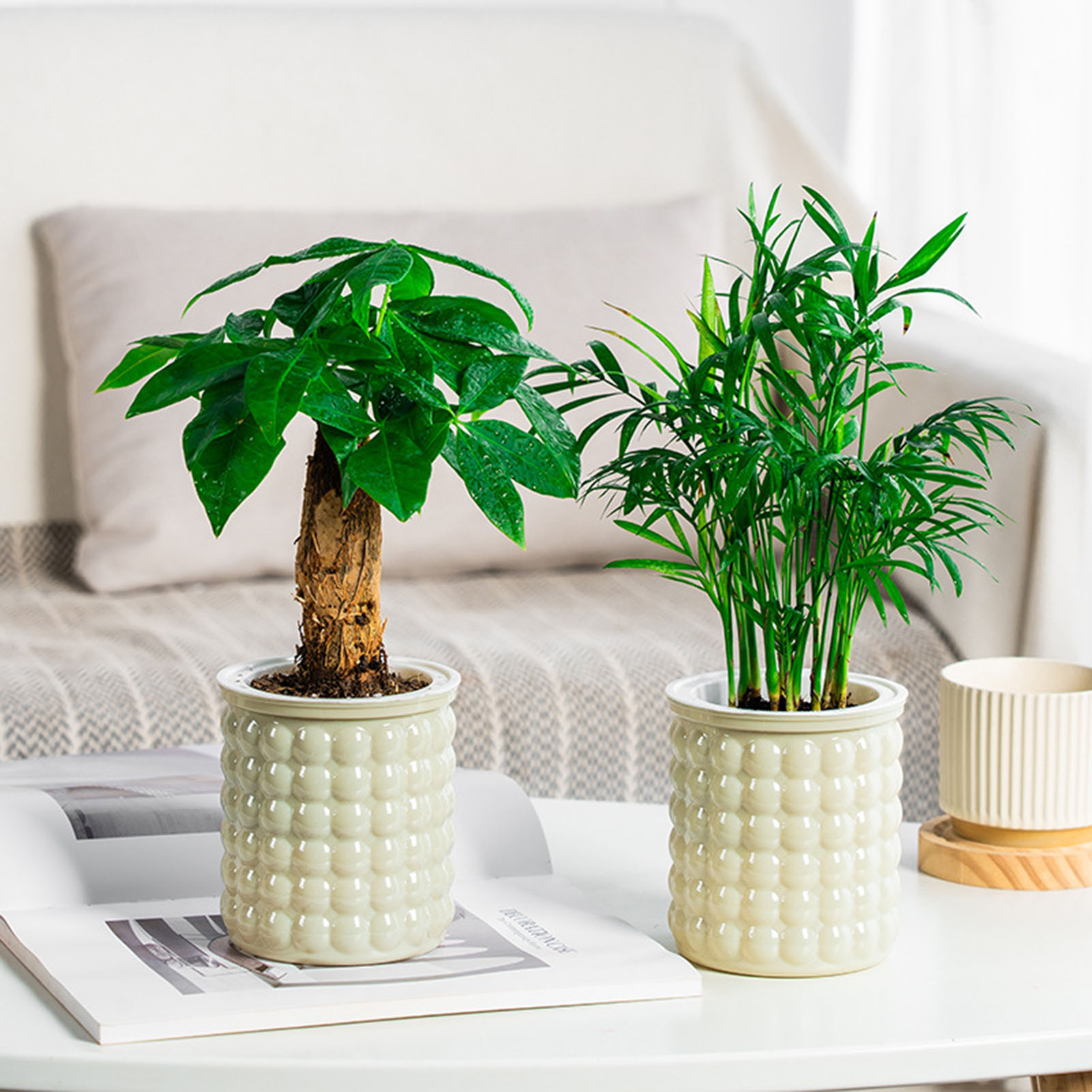 Selbst Bewässerung Blumentopf Aquarium Transparente Kunststoff Blumentöpfe Mini Selbst Bewässerung Pflanzer Topf Vase Für Heimat Dekoration