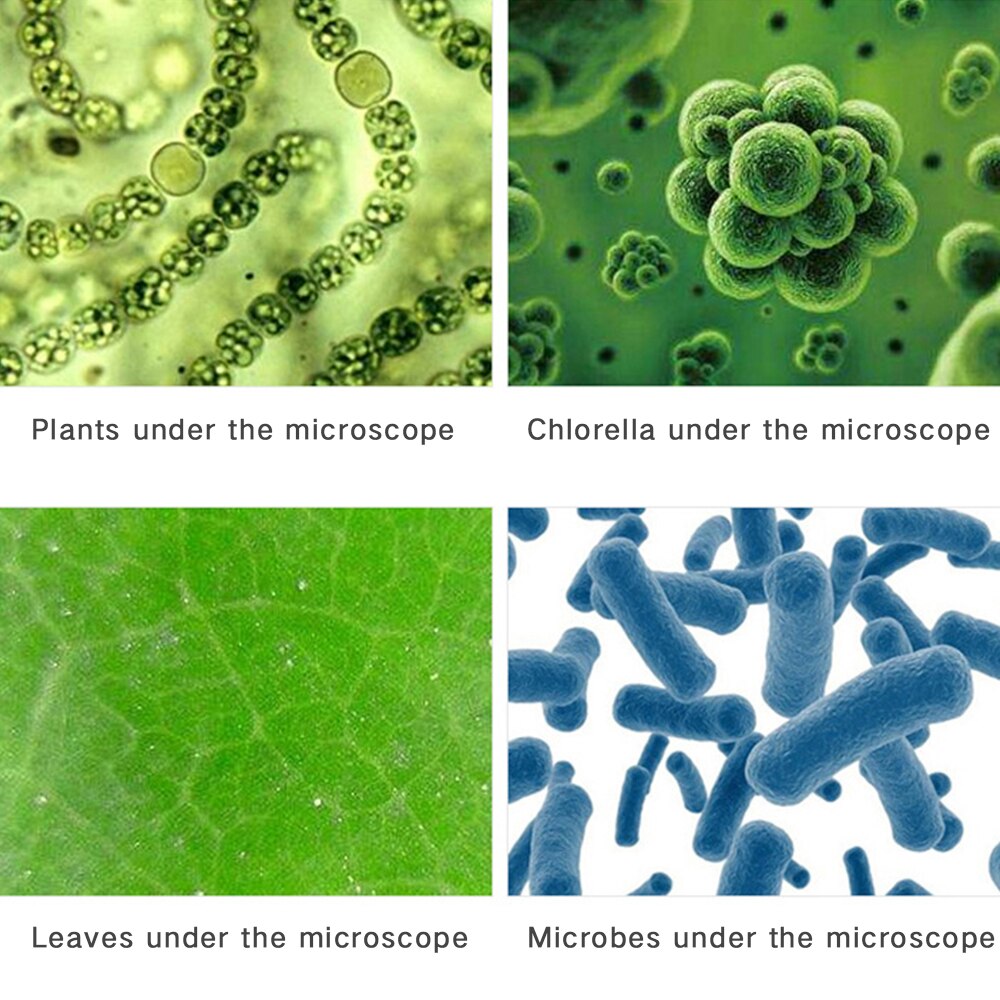 100X-400X-1200X Lab Refined Microscope Kit Lab LED... – Grandado