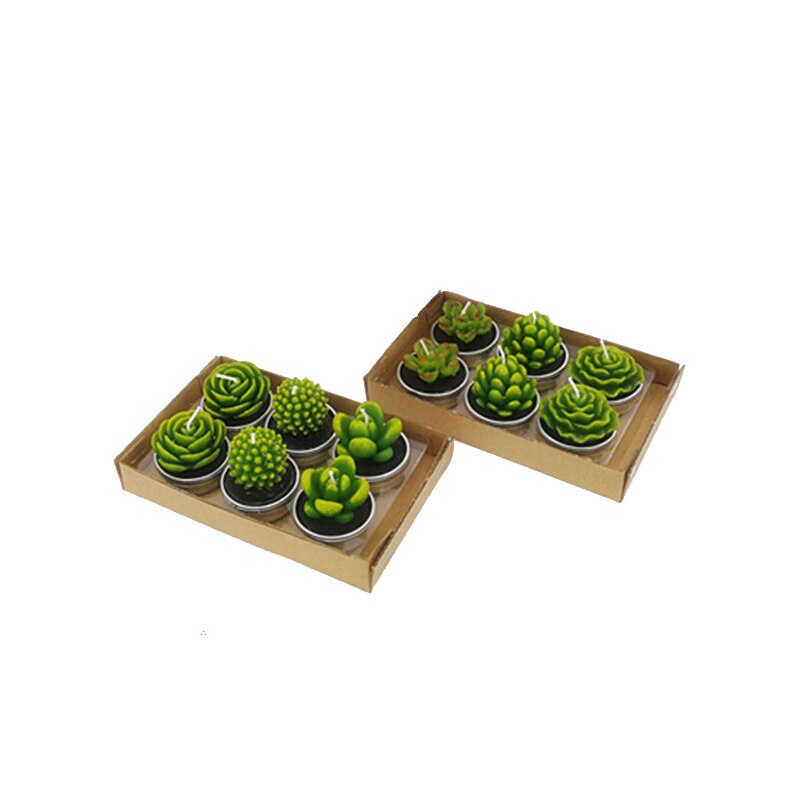12 Stuks Mini Vetplanten Mold Cactus Kaars Diy Gips Gips Kaars Mallen Thuis Verjaardag Partij Decoratie