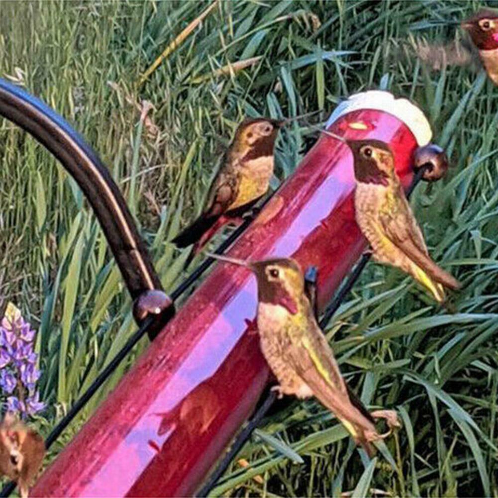 Best Hummingbird Feeder Tube with Hole Birds Feeding Transparent Pipe Hanging Long Tube with Hanging Loops 40/50/60 CM