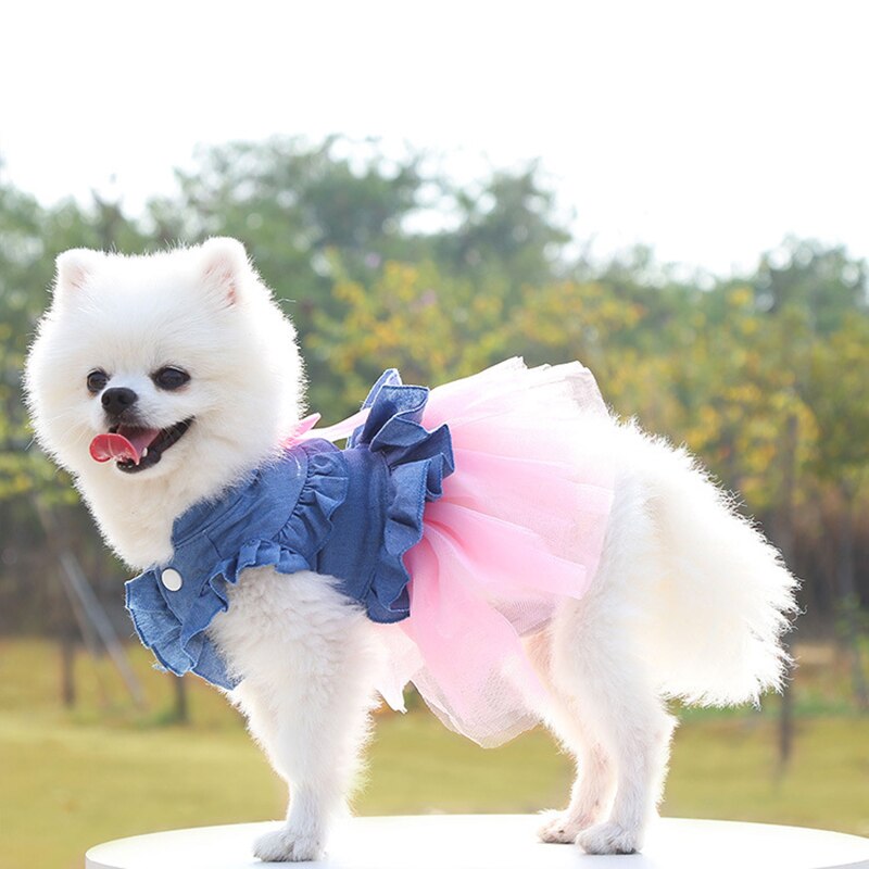 Falda vaquera a la para todas las estaciones, vestido para perro pequeño y mediano, disfraz rosa y blanco para perro, cachorro, gato, ropa de para fotos