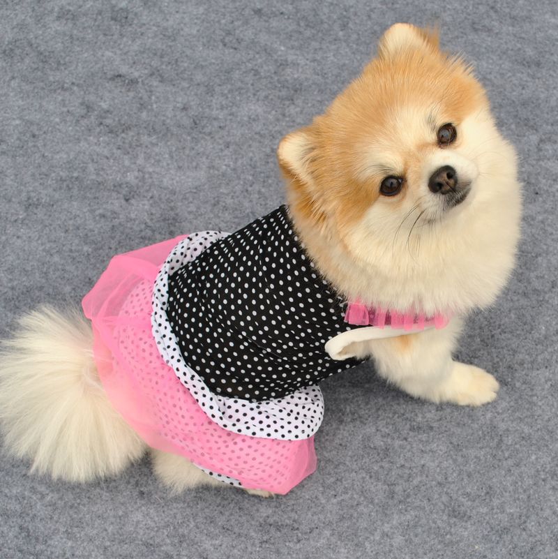 Shih tzu-robe pour chien à pois | Vêtements pour petits chiens, jupe Tutu pour chiot, robe pour chat, robes de mariage pour chiens, vêtements d'été pour caniches et animaux de compagnie