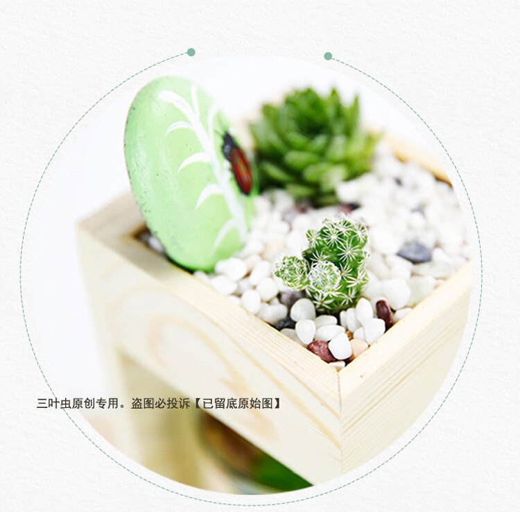 Desktop Fish Tank Home Desk Ecological Microscopic Fleshy Thai Aquarium Plastic