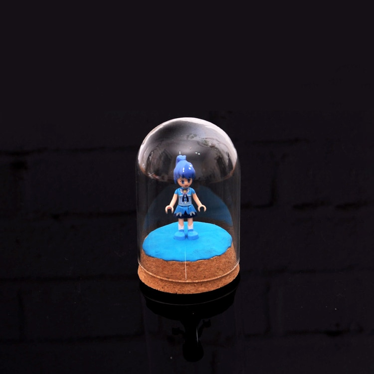 Heldere glazen stolp met rustieke houten voet, antieke stolp, displaykoepel voor planten, vetplanten, feeërieke lichtslingers, fotodecoratie voor thuis.