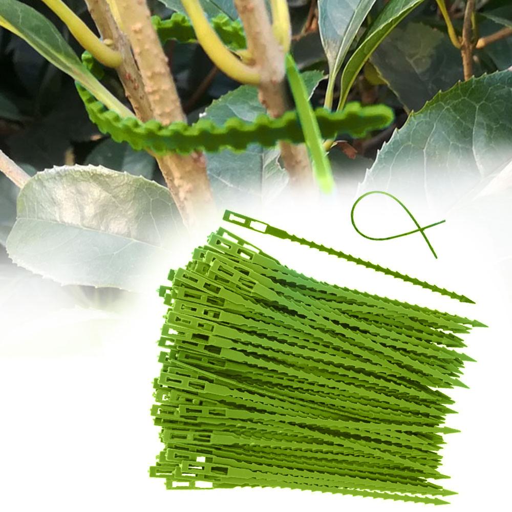 Bandas de cabo de planta tomate, peças, suporte de plástico para escalada, planta, ligatura, instrumentos para jardim l3: 30PCS 17CM / A