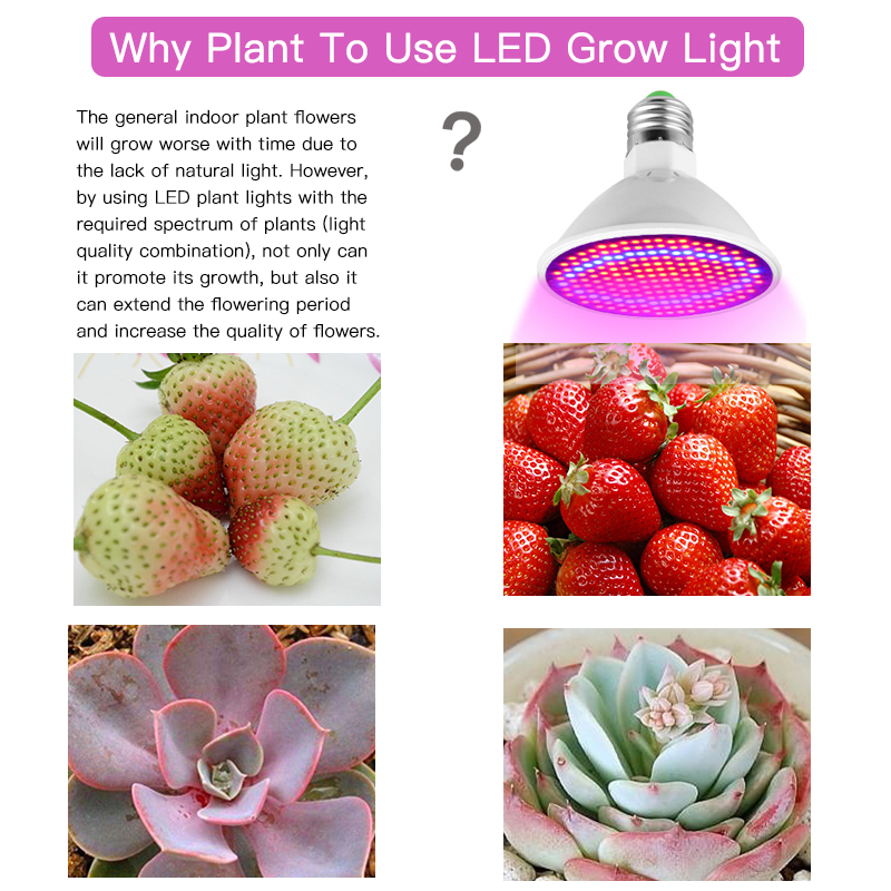 Phytolamp para plantas e27 led cresce a luz phytolamp espectro completo phyto lâmpada para plantas horticultura para semeadura flores