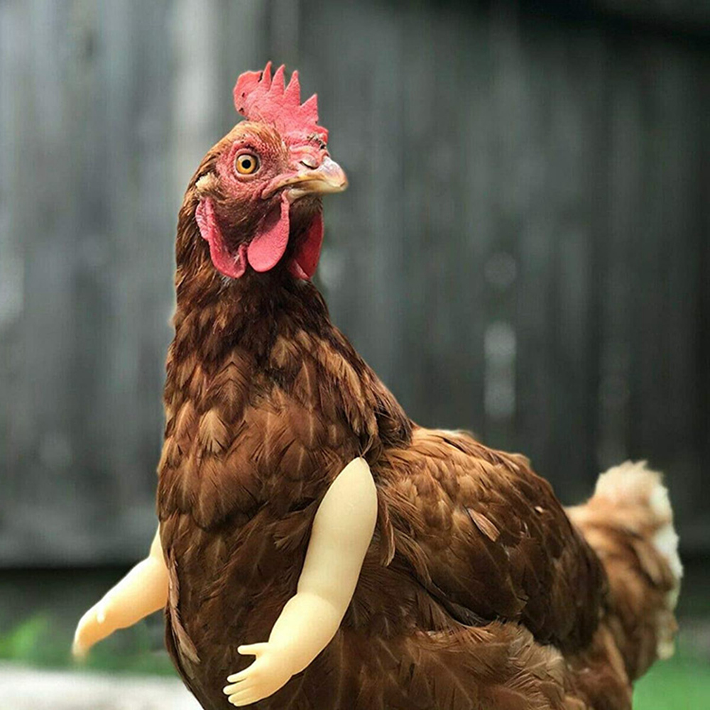 Funny Fighting Chicken Arms Toys Artificial Wearing Muscle Arm For Pigeon Hen Pet Theme Party Props Chicken Accessories Supplies: GRAY