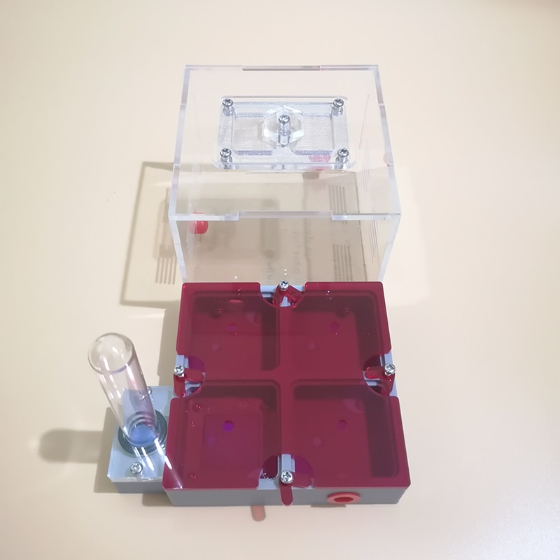 Große Größe Ant Nest Flache Nest Ant Farm Mit Test Rohre und Sonnenblende 3D Druck Matrix Insekt Liefert