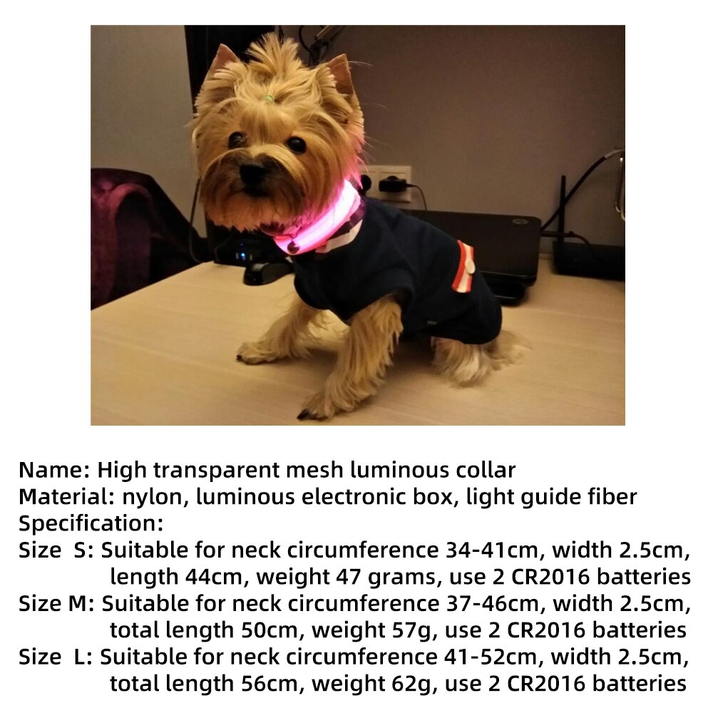 Led collier de chien Anti-perte Accident de voiture éviter collier collier pour chiens chiots chien chats colliers lumineux fournitures pour animaux de compagnie