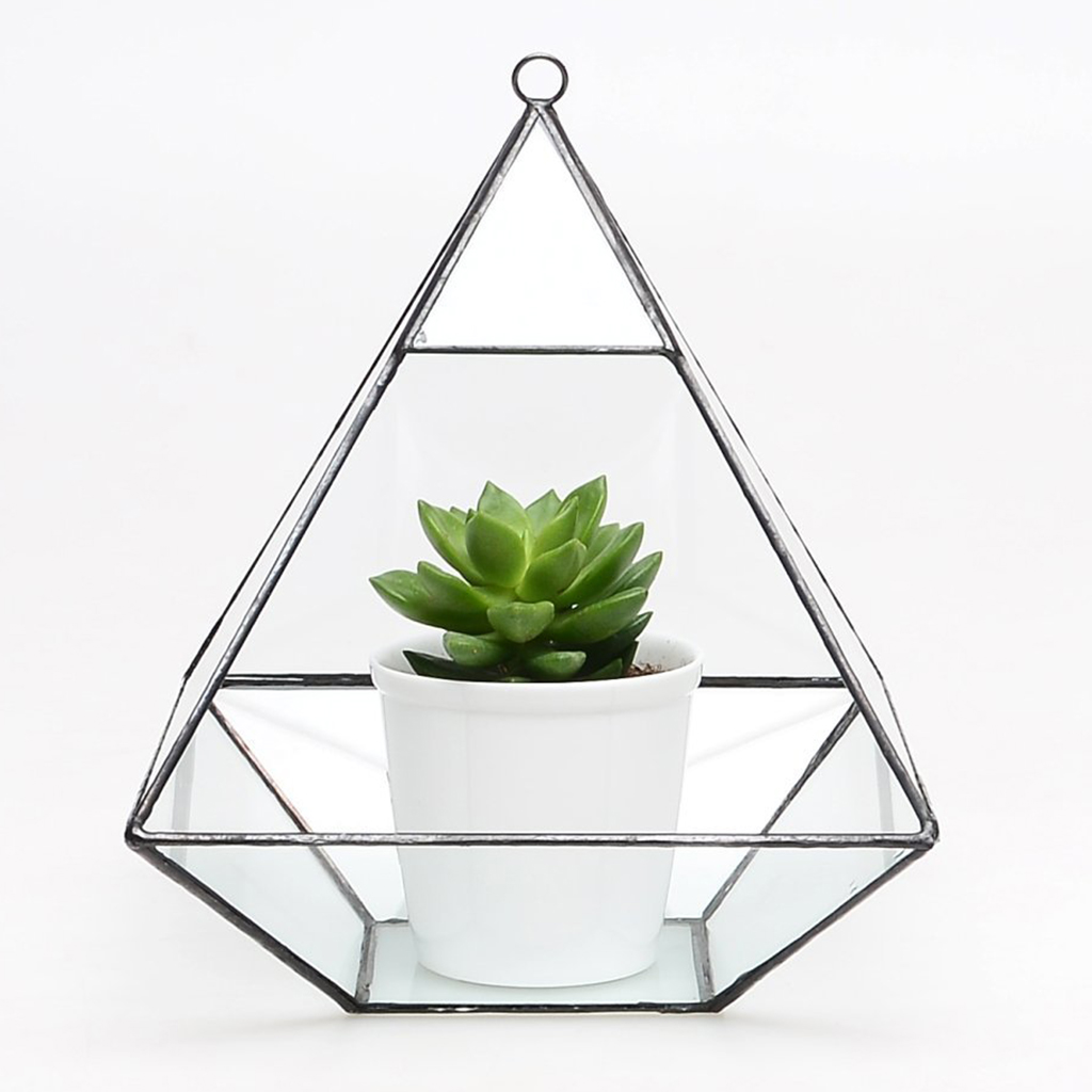 Irregular Glass Geometric Terrarium Box Tabletop Succulent Air Plant Fern Moss Pot Planter