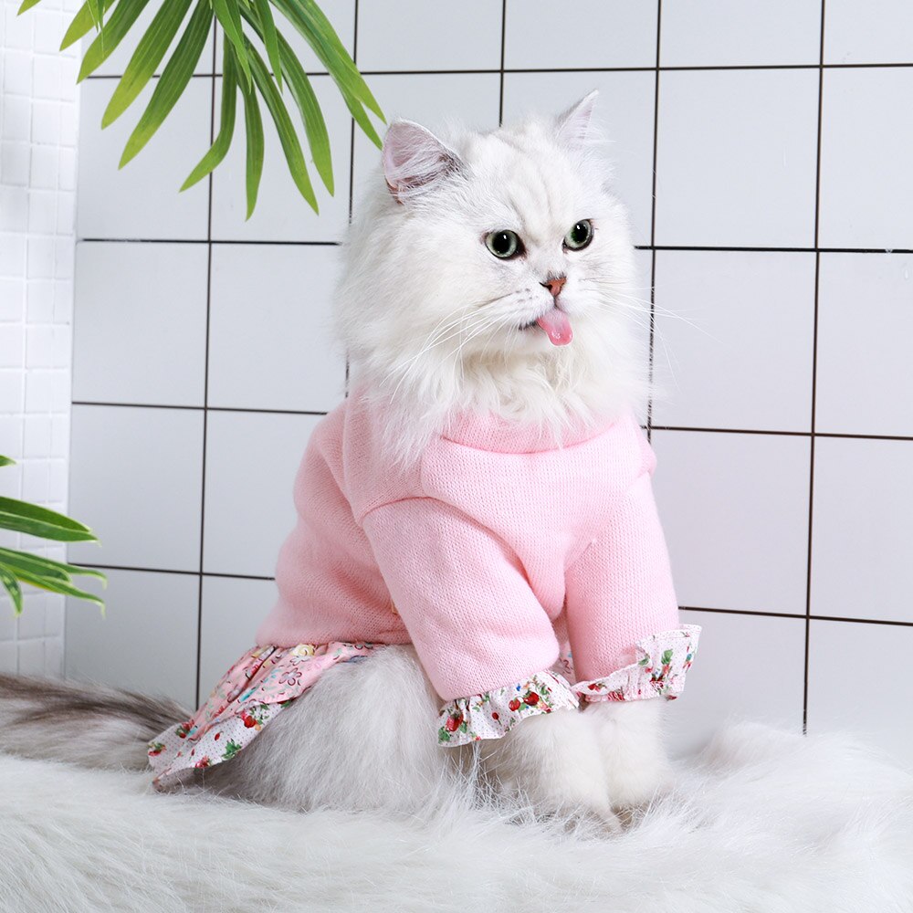 Hoopet-ropa para mascotas, abrigo de peluche para perro, traje para cachorro, vestido de personaje para perros pequeños, ropa para gatos