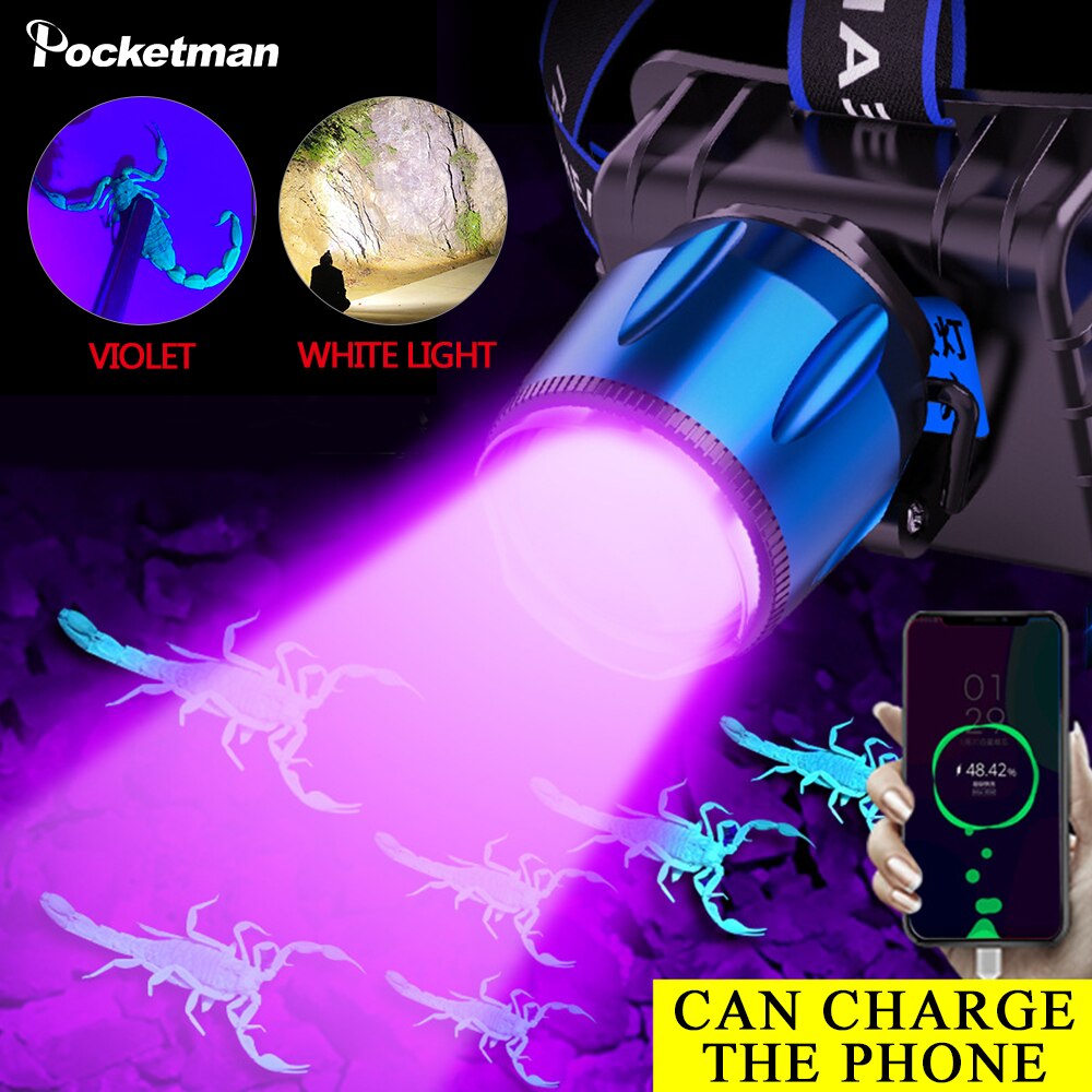 UV LED Purple Headlamp 395nm Battery built-in USB Charger Sensor Headlight Torch Head Catching Scorption Torch Headlamp