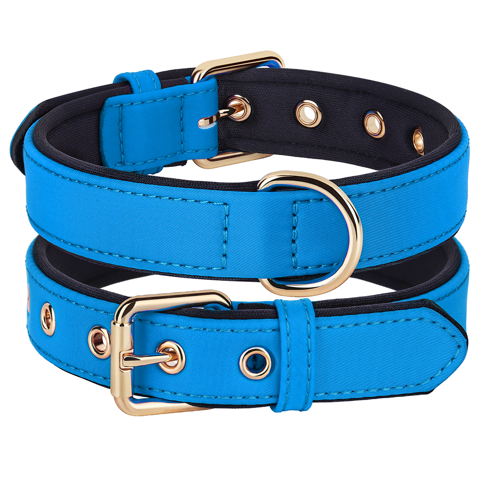 Collier en nylon imperméable pour chien, 8 couleurs, doux, rembourré, respirant, colliers pour animaux de compagnie, petits et moyens chiens, Chihahua, PDPDog, accessoires: M / Bleu
