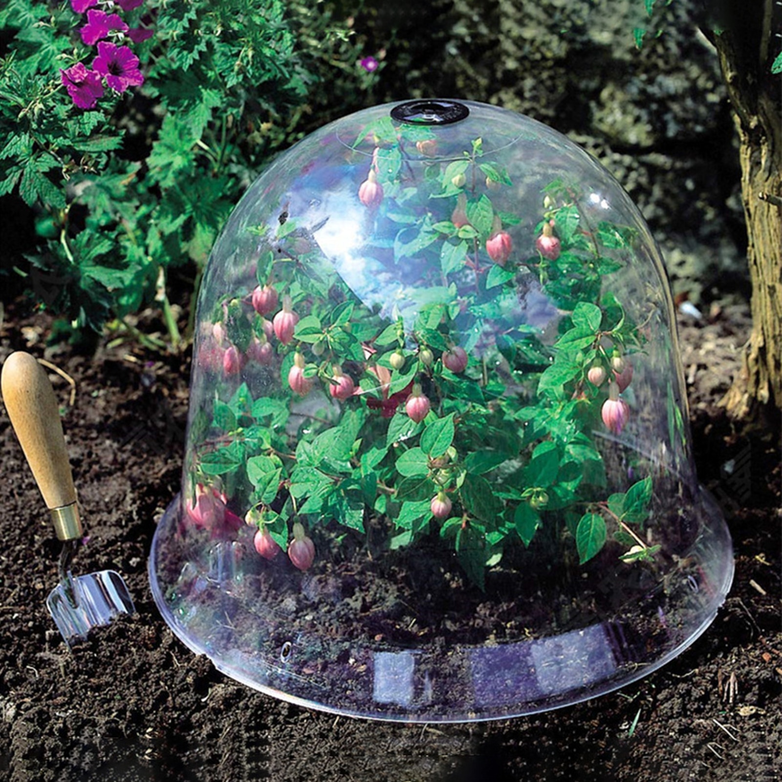 Tuin Cloche Plastic Beschermende Plant Bells Dome Ademend Covers Thermische Isolatie Hydrateren Voor Vetplant Kas