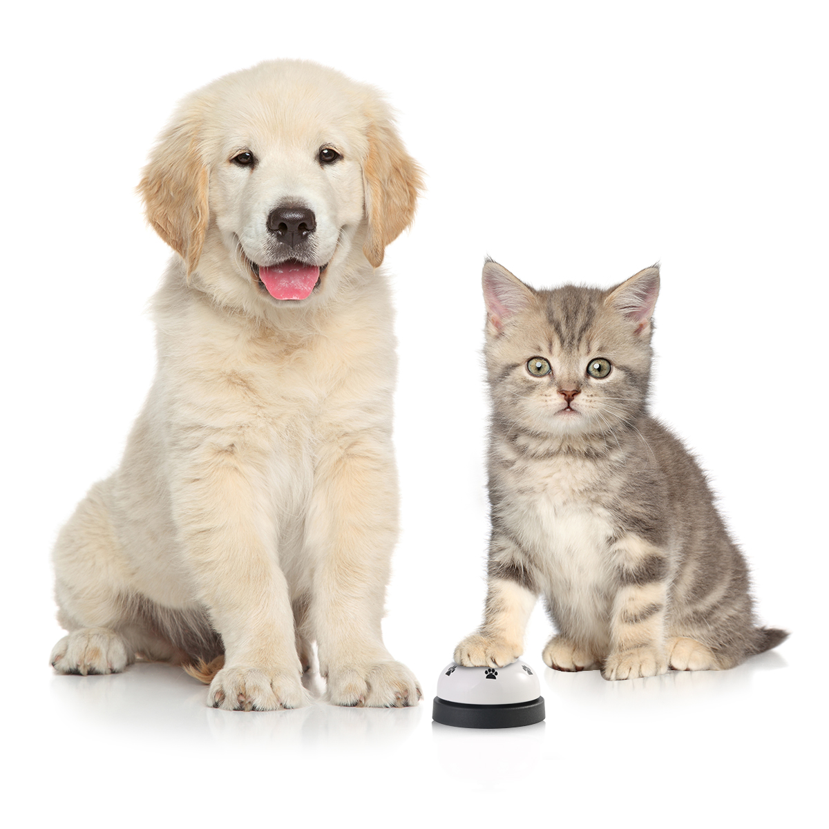 2 stilarter hundetræningsklokke hvalp kæledyrstræner hund katte dørklokke kæledyrstræningsartikler