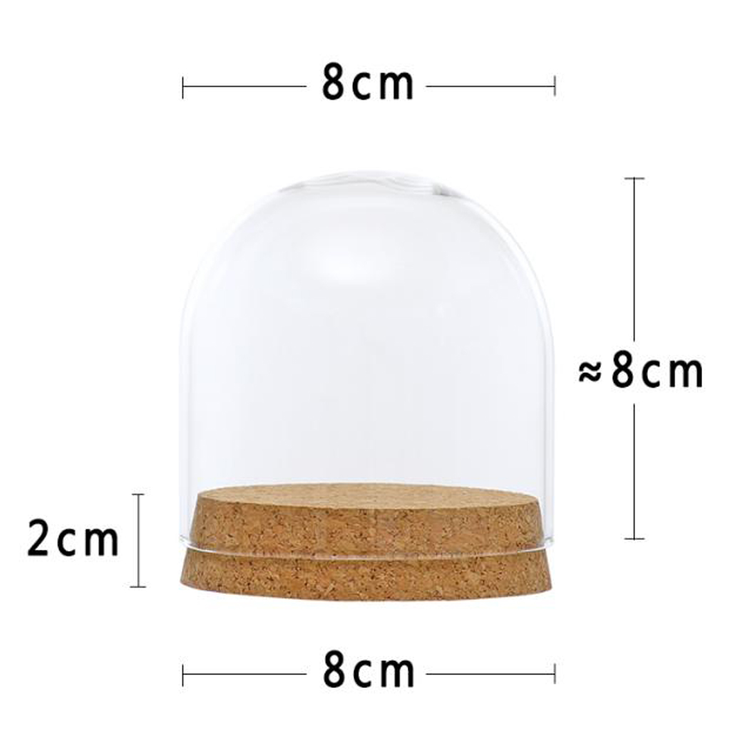 Vitrina de vidrio transparente, tapa de cúpula, campana, jarro, terrarios suculentos con corcho de madera para decoración de mesa de hogar y oficina DIY