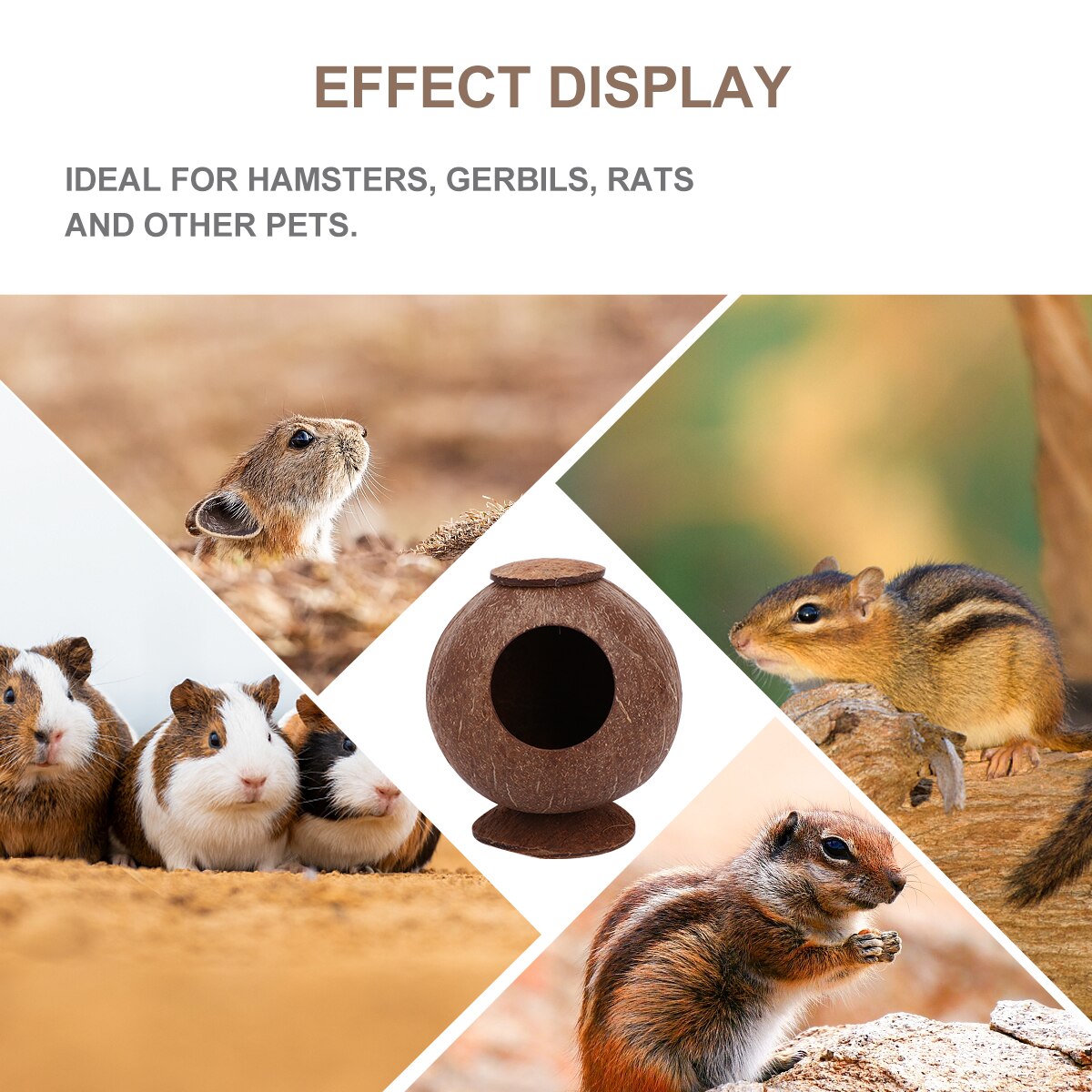 Polished Coconut Shell Nest Pet Bird Nest Hamster Squirrel Breeding Nest Crafts Beautiful Bird House with Base Desktop Guinea Pi