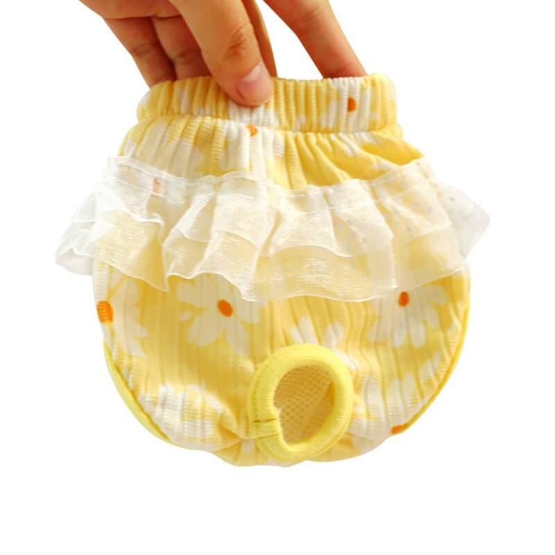 Huisdieren Wasbare Shorts Slipje: YELLOW / M