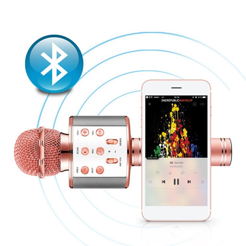 Wireless Karaoke Microphone Speaker KTV Karaoke Player Echo System Digital Sound o Mix Singing Machine WS858