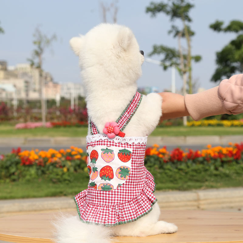 Jupe d&#39;été à bretelles pour chat, vêtement fin sans poils, chiot, chien, chaton, chat, printemps et été