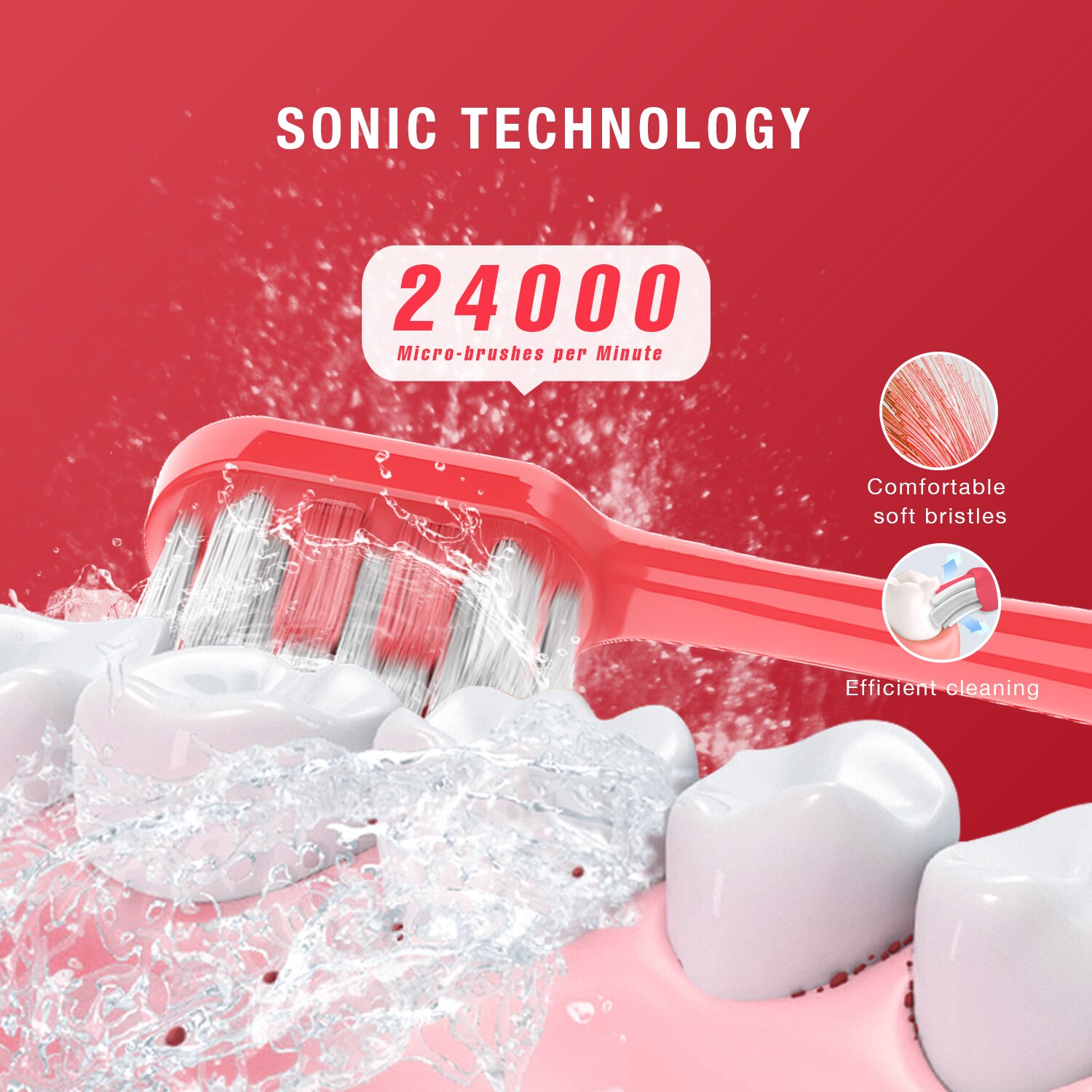 Seago Newest Sonic Electric Toothbrush 24000 Times/Min Vibration Stronger Clean 2 Mins Timer AA Battery Power Tooth Brush