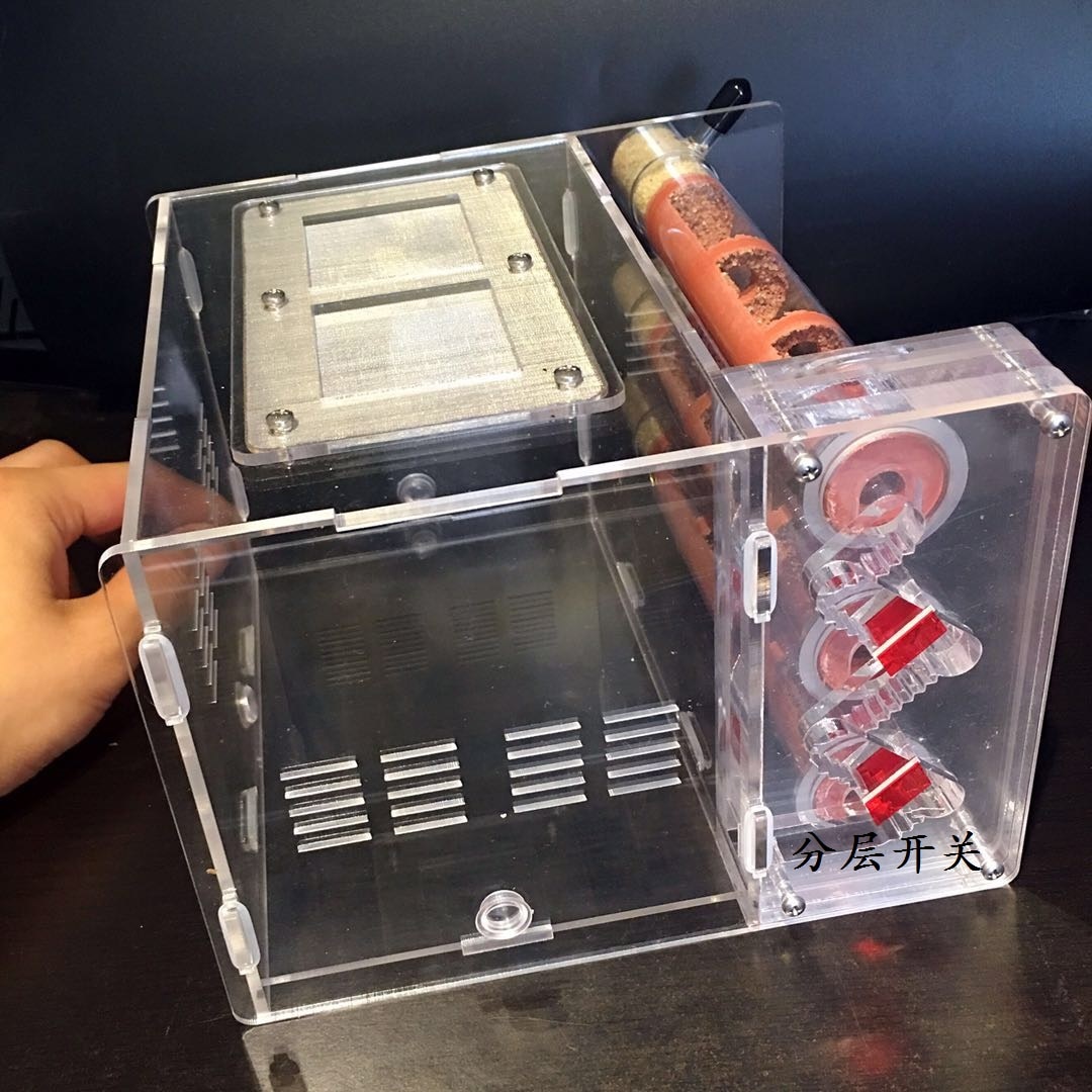 CWXTGS 1PCS bamboo tube nest 25 caliber test tube ants nest