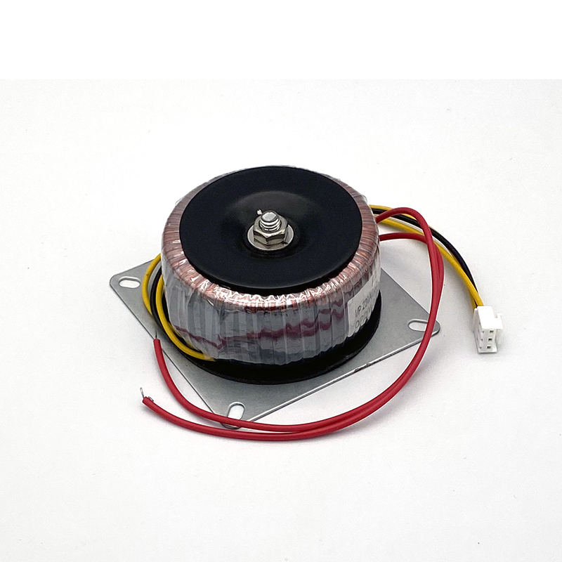 BAHOD 100w 220v A Doppio 9v/12v/15v/18v/20v/22v/24v/26v/28v Trasformatore di Potenza Toroidale per Amplificatore HIFI Audio