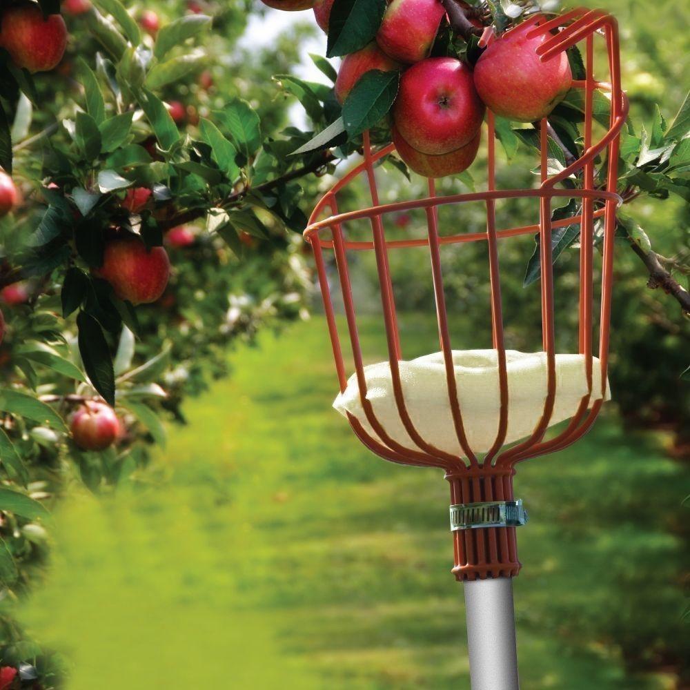1pc Aluminum Fruit Picker Basket Fresh Orange Apple Plum Pear Peach For Broom Pole Stick Fruit Collector Gardening Picking Tool
