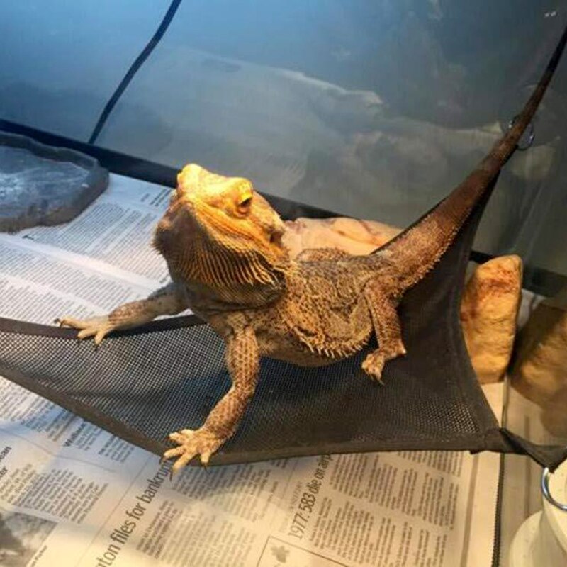 2 Pack Baardagaam Hangmat Hagedis Lounger Ladder Opknoping Bed Accessoires, Rep P9YB