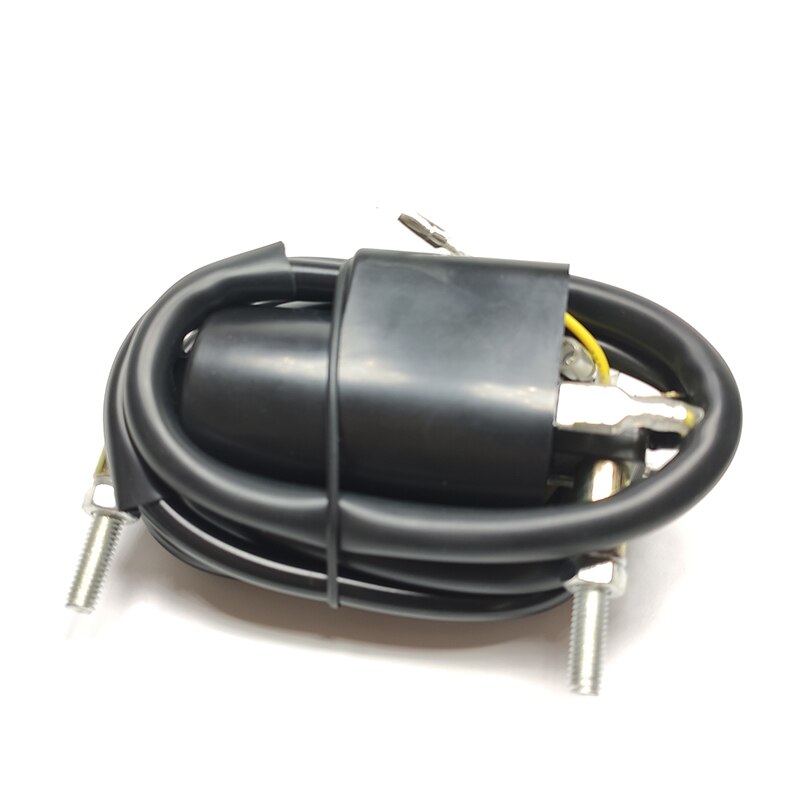 Bobine Set 12 Volt 12 V 4 Ohm Dual Output Bobine Voor Suzuki GS/GSX R /GV Madura Metal & Plastic