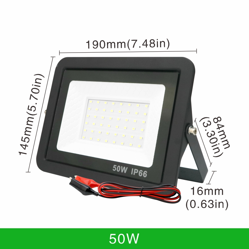20W 30W 50W 100W DC12V Led Flood Light Outdoor Floodlight Spotlight IP66 Waterproof Light Reflector Portable 12 Volt Led Lights: green