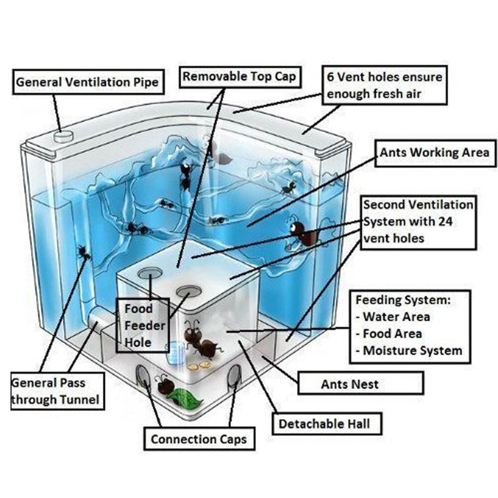 10.8Cm Mieren Huis Art Habitat Fanny Ant Nest Decoratie Huisdier Speelgoed Kleurrijke Speciaal Acryl Ant Farm Transparante Voeden Gebied