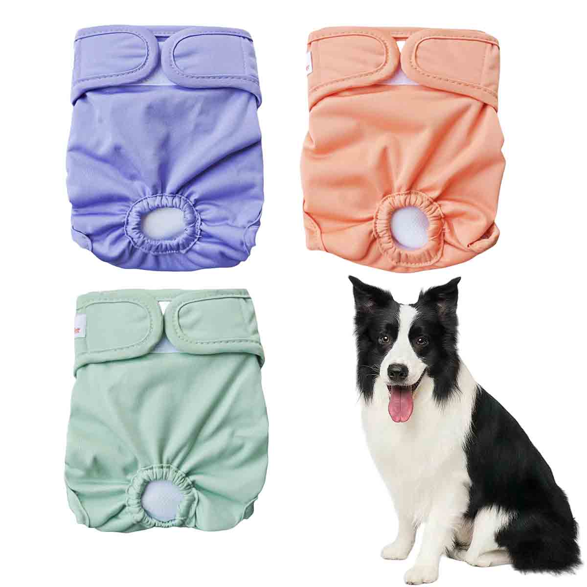 Hundewindel für hündinnen, physiologische hygienehose, wiederverwendbare windel, bauchschutz, hoch saugfähig, auslaufsicher, urinhose