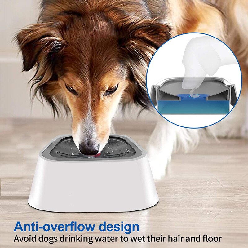 Picture of Smart Dog Bowls Feeding Safe Anti-microbial Dog Bo... – Grandado