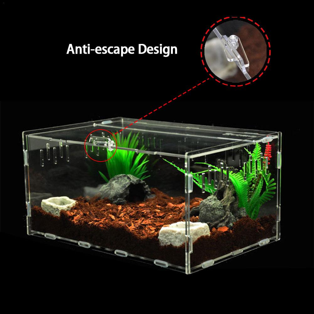 Akryl krybdyr tank insekt skildpadde firben gennemsigtig avlsboks vivarium låg krybdyr kæledyr produkt terrarium til små dyr