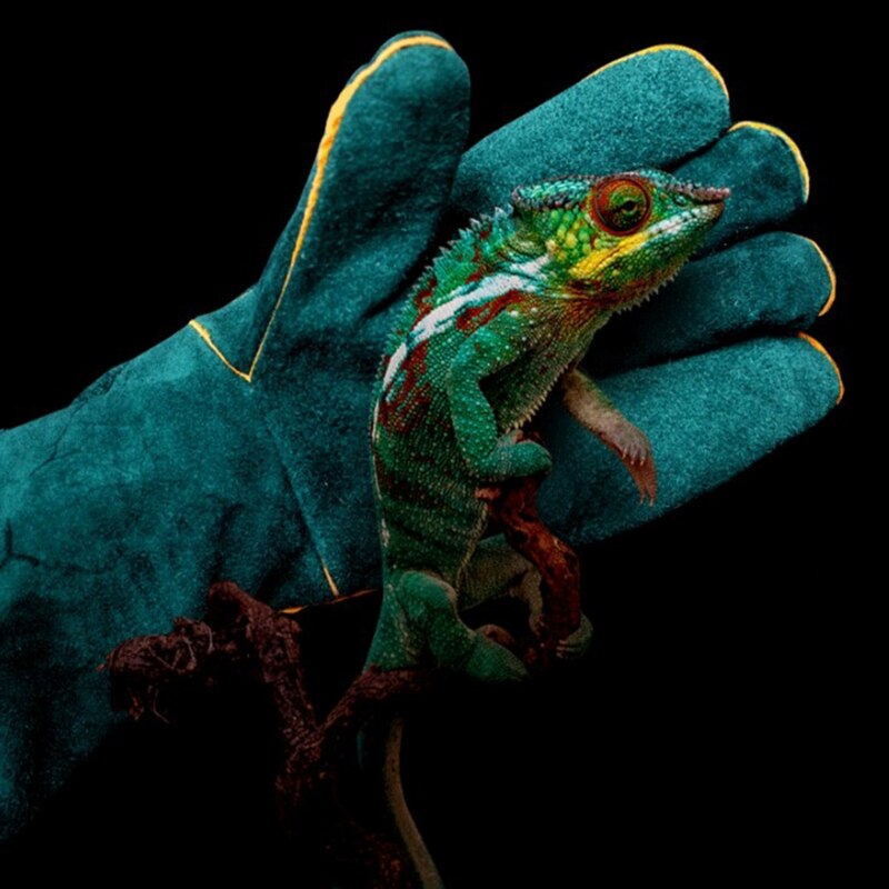 Wild Animals Handling Gloves Bite Proof Scratch Resistant Reptile Training Gloves Snake Lizard Protection Gloves Safety Gloves