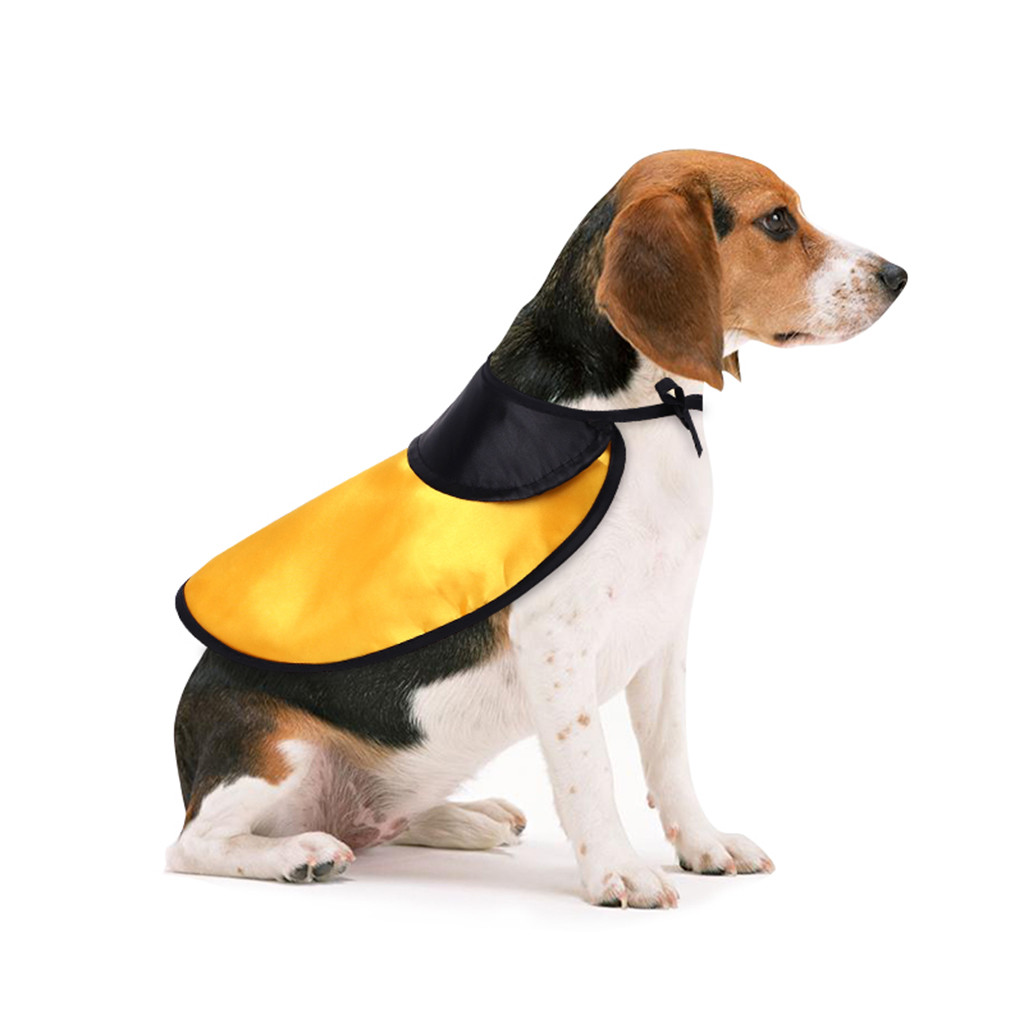 Cape d'halloween pour chien et chat, tenue de déguisement de sorcière, vêtement doux