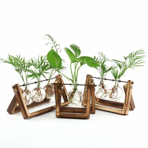soporte de madera vidrio terrario contenedor hidropónico maceta para flor florero de mesa DIY Home Office decoración de boda