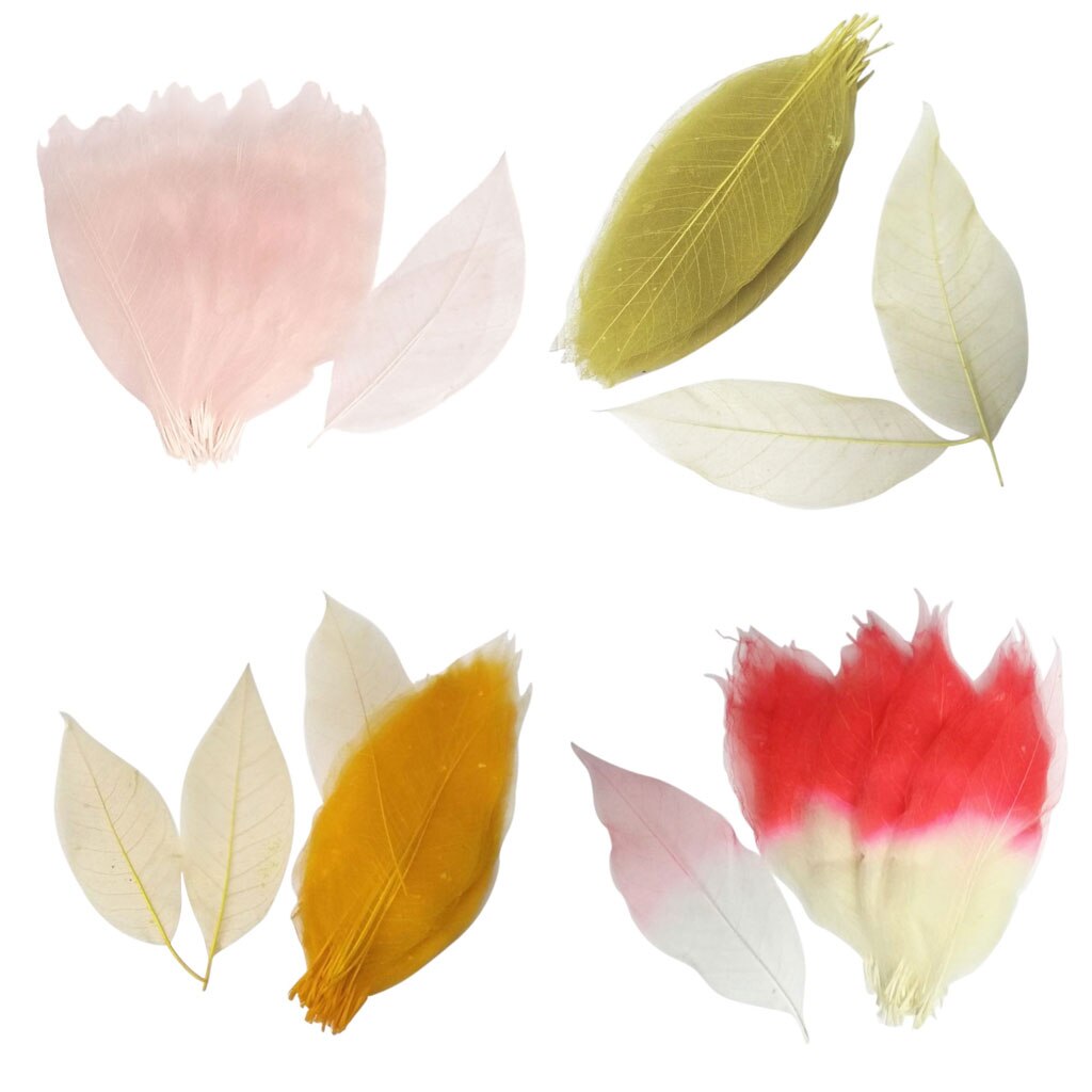 100x Magnolia Leaf Decoration Wedding Party Supply DIY Crafts Accessory