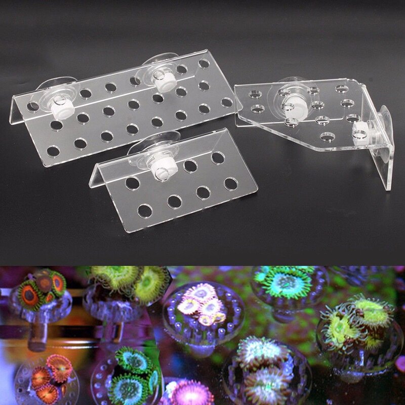 Picture of Fish Tank Coral Frag Rack Plugs Kit Holder/Marine ... – Grandado