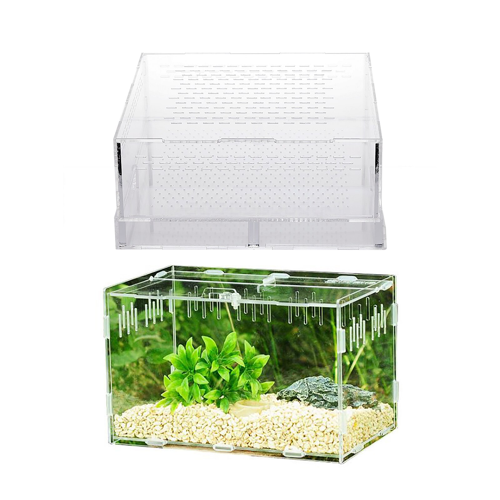 Insect Breeding Box Spiders Breeding Box Reptile Breeding Box Acrylic Climbing Pet Products Translucent Acrylic Feeding Box