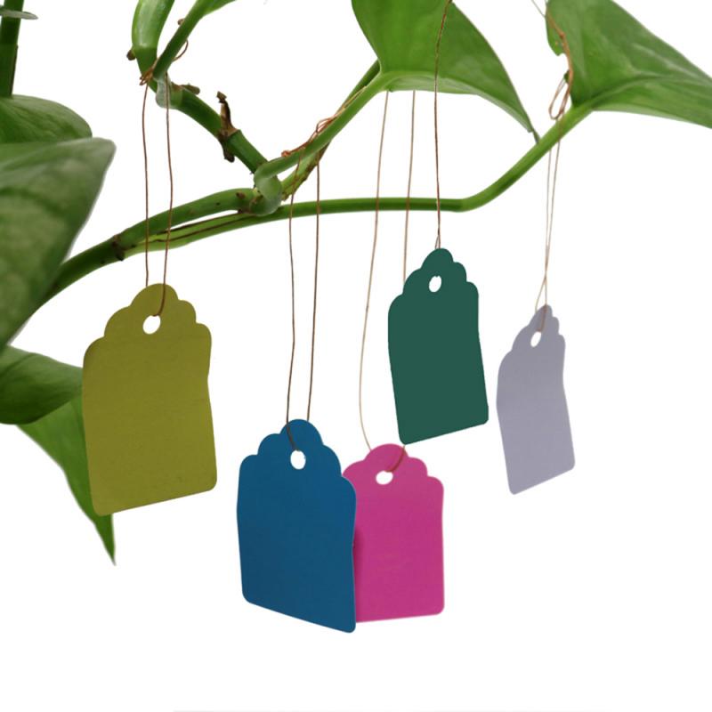 100pcs Plants Hang Tag Labels And Brands Seedling Garden Flower Pot Plastic Tag Number Plate Hanging Reusable