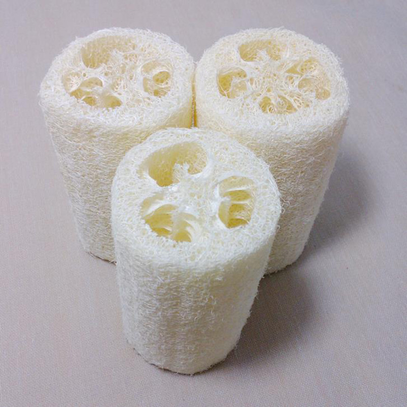 5 Pieces Natural Loofah Luffa Loofa Bath Shower Sponge Spa Body Scrubber Horniness Remover Bathing Massage Sponge GYH