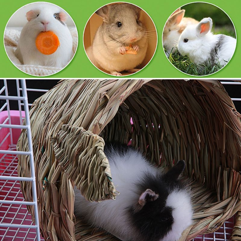 Chinchilla seng kjæledyr halm stoff hamster kanin marsvin bur reir hjemme leketøy  c63b